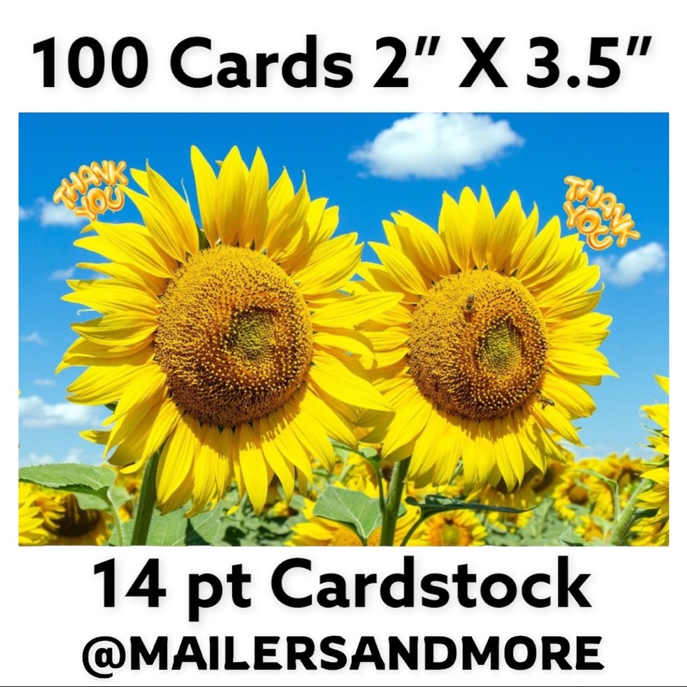 100 Cards Sunflower and Bees Thank You, PRICE IS FIRM